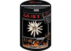 Gust PXB2109 - 10 strzałów 0.8"