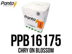 Wyrzutnia Chry On Blossom PPB16175 - 16 strzałów 1.2"