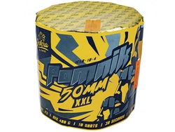 Pomnik IC50-10-4 - 10 strzałów 2"