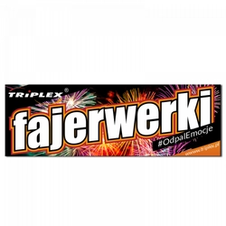 BANER Triplex 300cm x 100cm