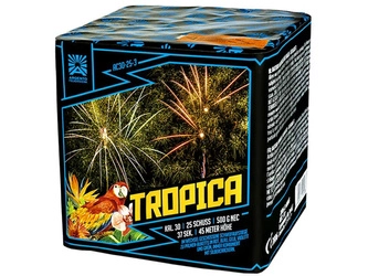Tropica AC30-25-3 - 25 strzałów 1.2"