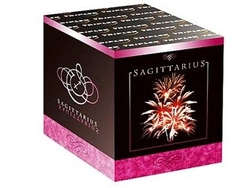 Sagittarius TXB220 - 16 strzałów 1.2"