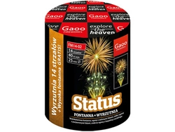 Status FM14-02 - 14 strzałów 1" + fontanna