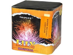 Lily Magonalia TXB174 - 16 strzałów 1"