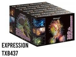 Expression TXB437 - 100 strzałów 0.8"